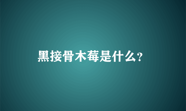 黑接骨木莓是什么？