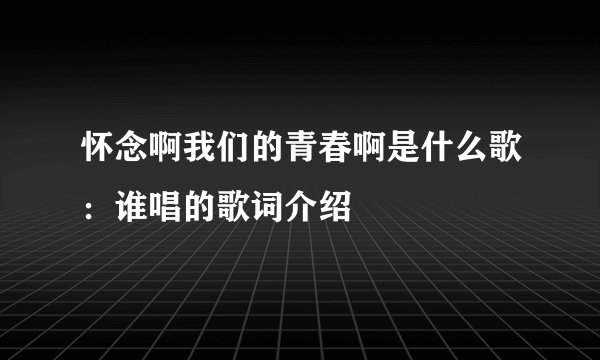 怀念啊我们的青春啊是什么歌：谁唱的歌词介绍