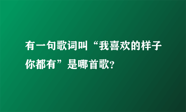 有一句歌词叫“我喜欢的样子你都有”是哪首歌？