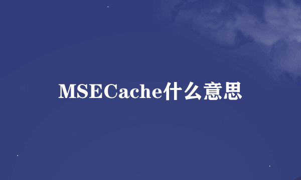 MSECache什么意思