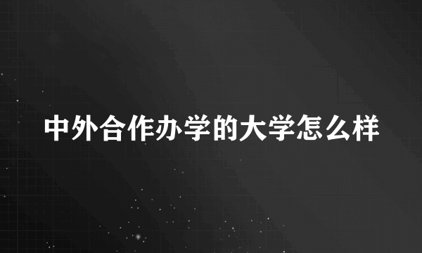 中外合作办学的大学怎么样