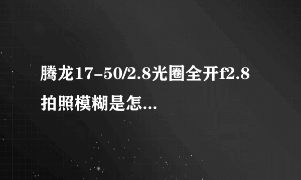 腾龙17-50/2.8光圈全开f2.8拍照模糊是怎么一回事？