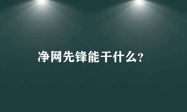 净网先锋能干什么？