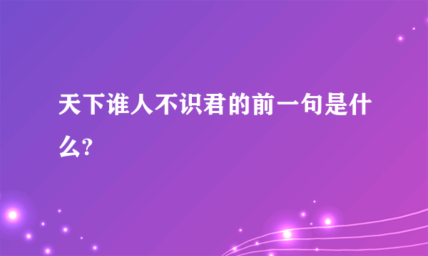 天下谁人不识君的前一句是什么?