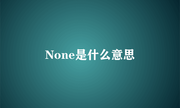 None是什么意思