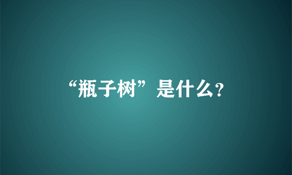 “瓶子树”是什么？