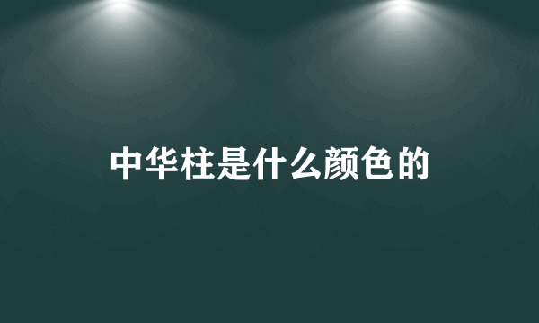 中华柱是什么颜色的