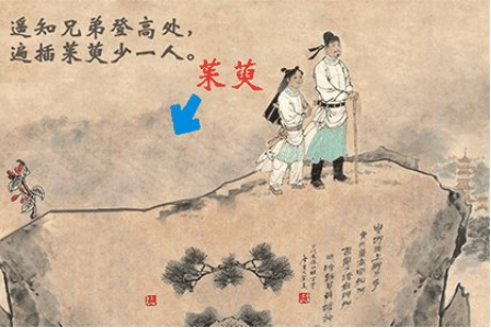 遍插茱萸少一人是什么诗