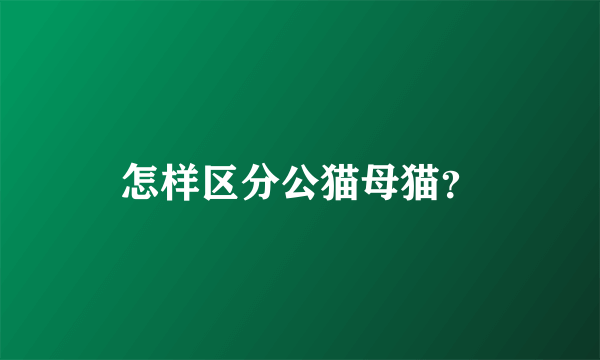 怎样区分公猫母猫？