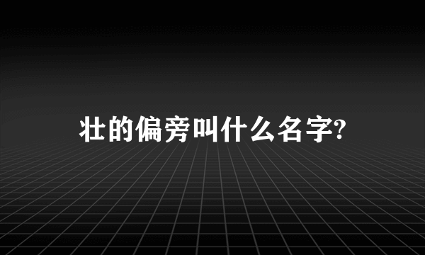 壮的偏旁叫什么名字?