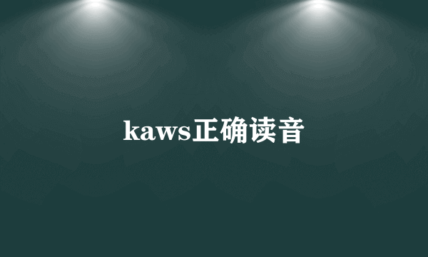 kaws正确读音