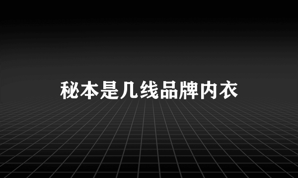 秘本是几线品牌内衣