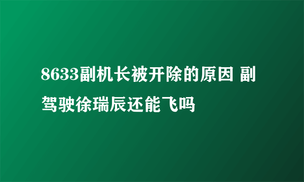 8633副机长被开除的原因 副驾驶徐瑞辰还能飞吗