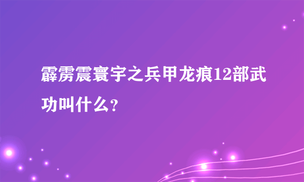 霹雳震寰宇之兵甲龙痕12部武功叫什么？