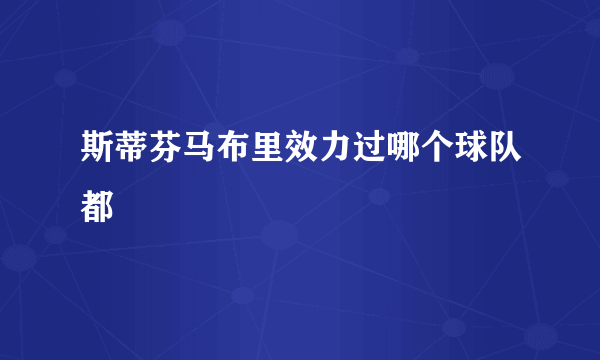 斯蒂芬马布里效力过哪个球队都