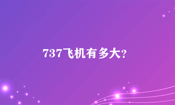 737飞机有多大？