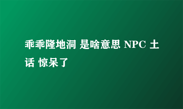 乖乖隆地洞 是啥意思 NPC 土话 惊呆了