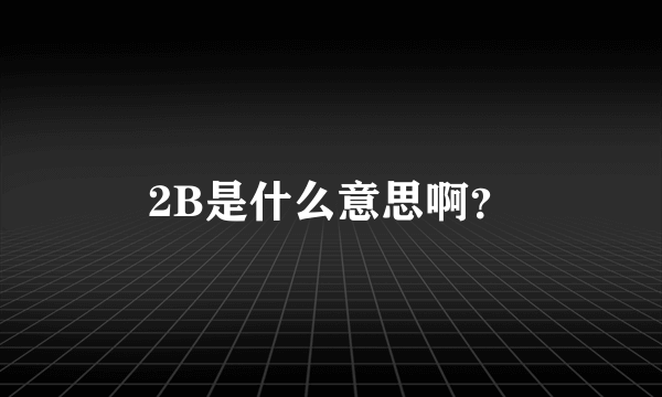 2B是什么意思啊？