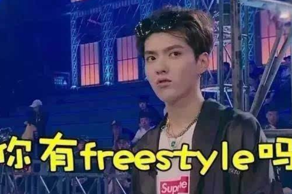 freestyle是什么？