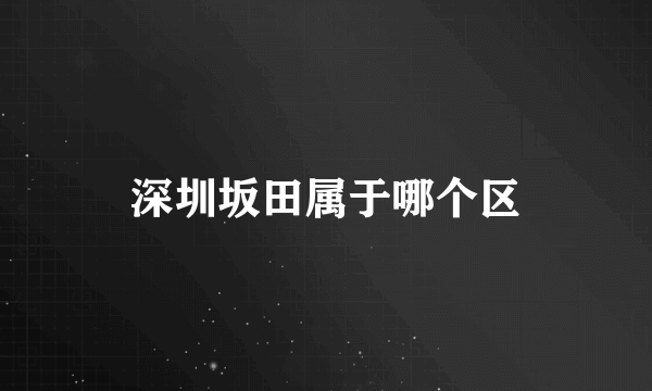 深圳坂田属于哪个区