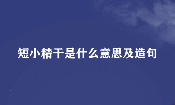 短小精干是什么意思及造句