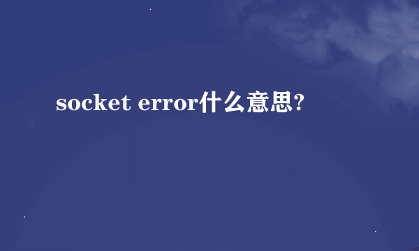 socket error什么意思?