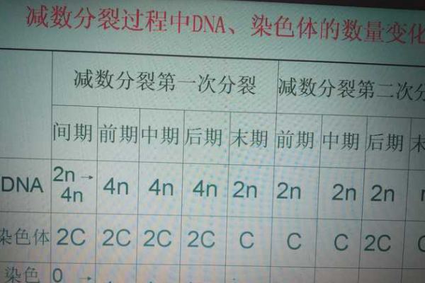 “M2”是什么意思？