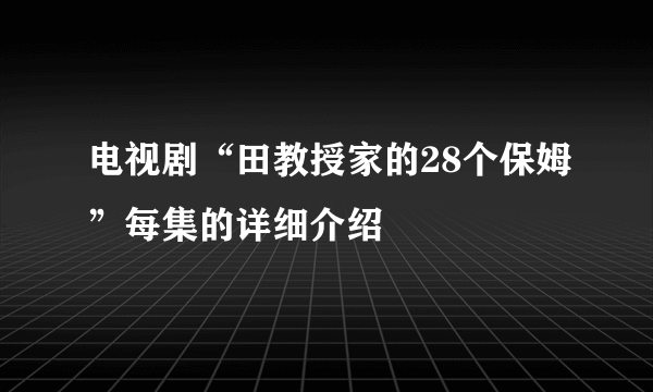 电视剧“田教授家的28个保姆”每集的详细介绍