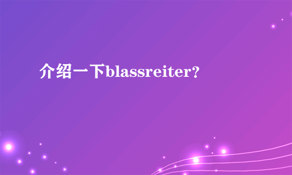 介绍一下blassreiter？