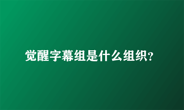 觉醒字幕组是什么组织？