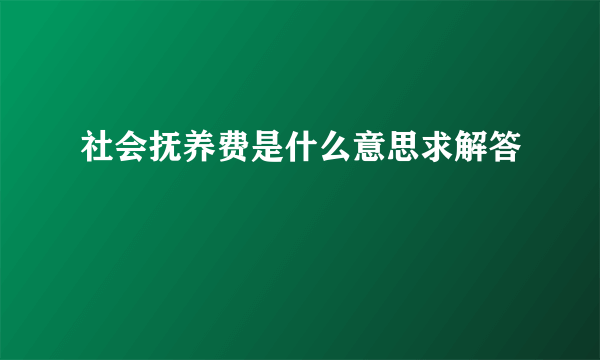 社会抚养费是什么意思求解答