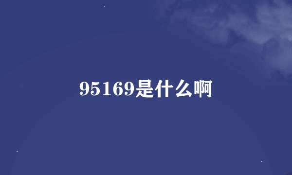 95169是什么啊