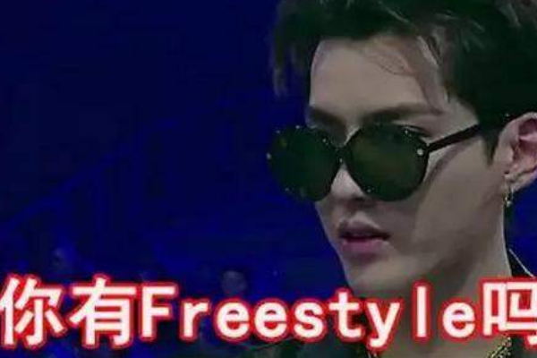 freestyle是什么？