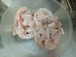 鲨鱼肉可以吃吗？