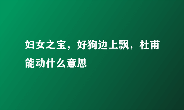 妇女之宝，好狗边上飘，杜甫能动什么意思