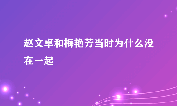 赵文卓和梅艳芳当时为什么没在一起