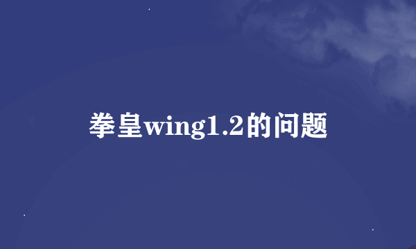 拳皇wing1.2的问题