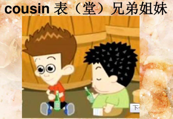 cousin是什么意思