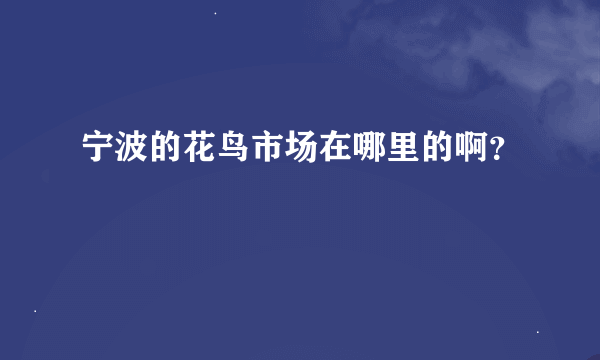 宁波的花鸟市场在哪里的啊？