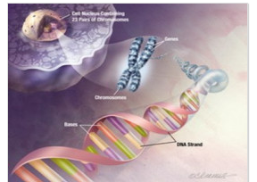 生物医学工程考研难度大吗 需要准备什