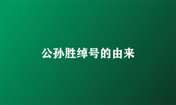 公孙胜绰号的由来