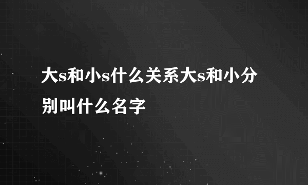 大s和小s什么关系大s和小分别叫什么名字