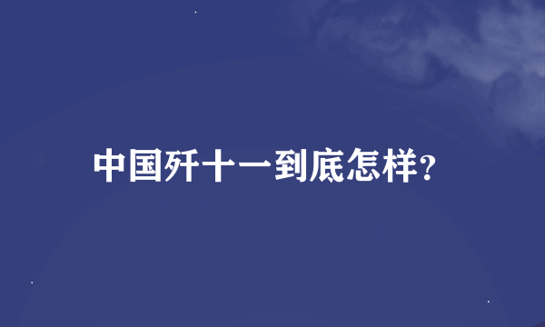 中国歼十一到底怎样？