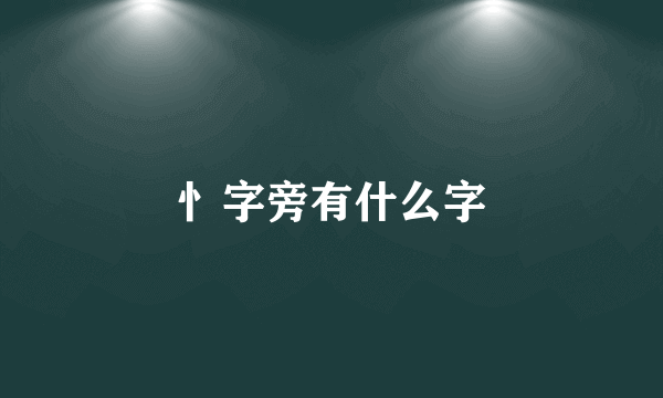 忄字旁有什么字