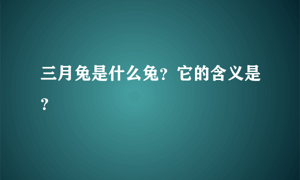 三月兔是什么兔？它的含义是？