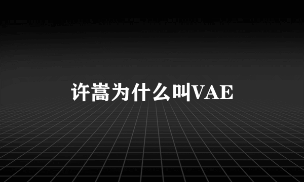 许嵩为什么叫VAE