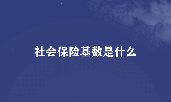 社会保险基数是什么