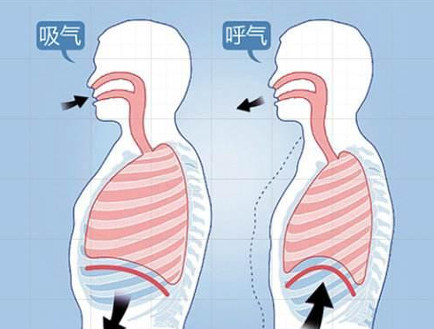 腹式呼吸的练习方法