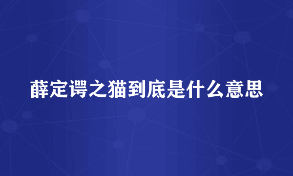 薛定谔之猫到底是什么意思