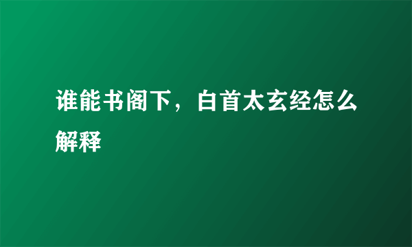 谁能书阁下，白首太玄经怎么解释